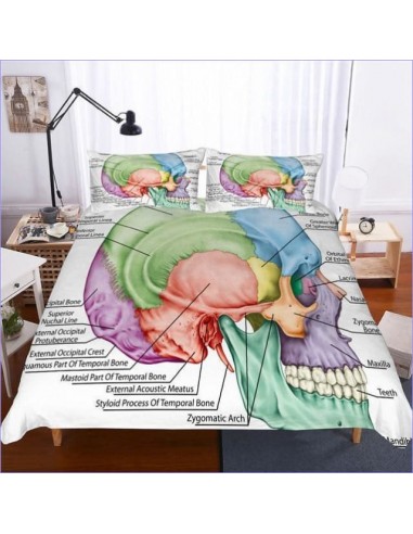 Housse de Couette Originale Anatomie Crane Livraison rapide